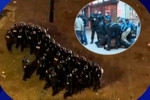 奥莱报：阿根廷国内球迷庆祝演变为骚乱，目前已有15人被拘留