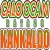 坎卡洛